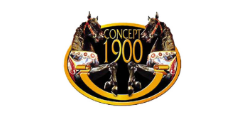 Carousels and Rides for amusement parks, fairgrounds and events